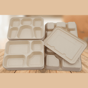 RO-FPB06 Single-use paper pulp compartmentalized food containers