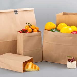 RO-CSB06 Thick non-oil-resistant cowhide paper shopping bag